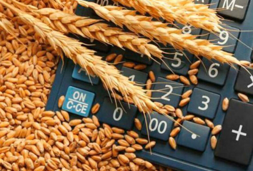 Qazaqstan Qytaıǵa bıdaı eksportyn ulǵaıtty