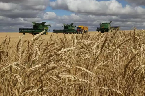 Elimizde egin jınaý naýqany aıaqtaldy