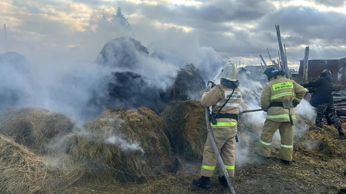 Aqmola oblysynda turǵynnyń 7,5 tonna shóbi órtenip ketti