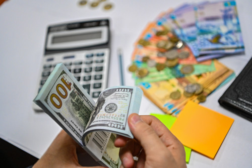 Ulttyq qordyń shyǵysy kiristen asyp ketken - Tımýr Súleımenov