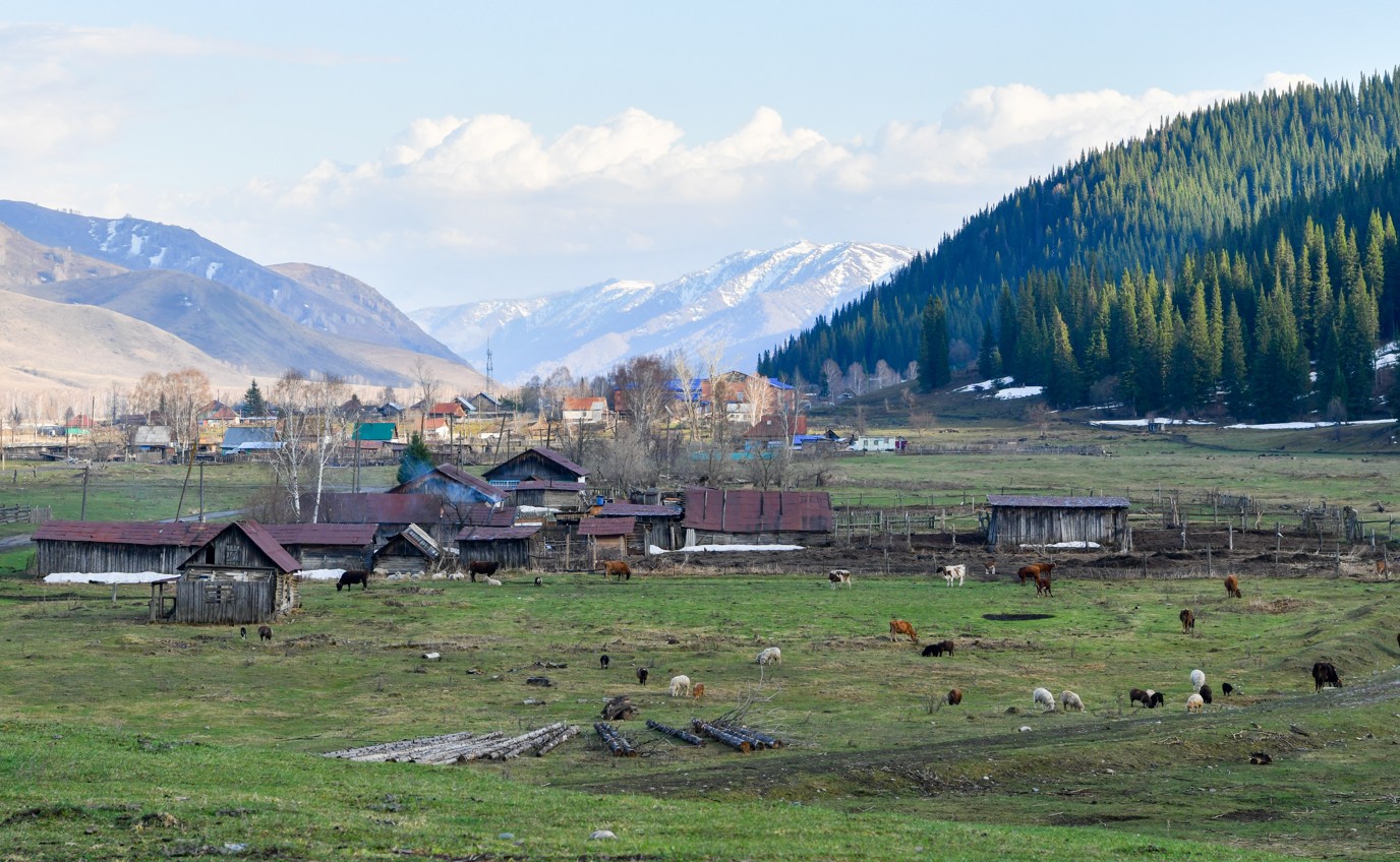 Shaǵyn aýyldardyń shyraıy qalaı kirmek?