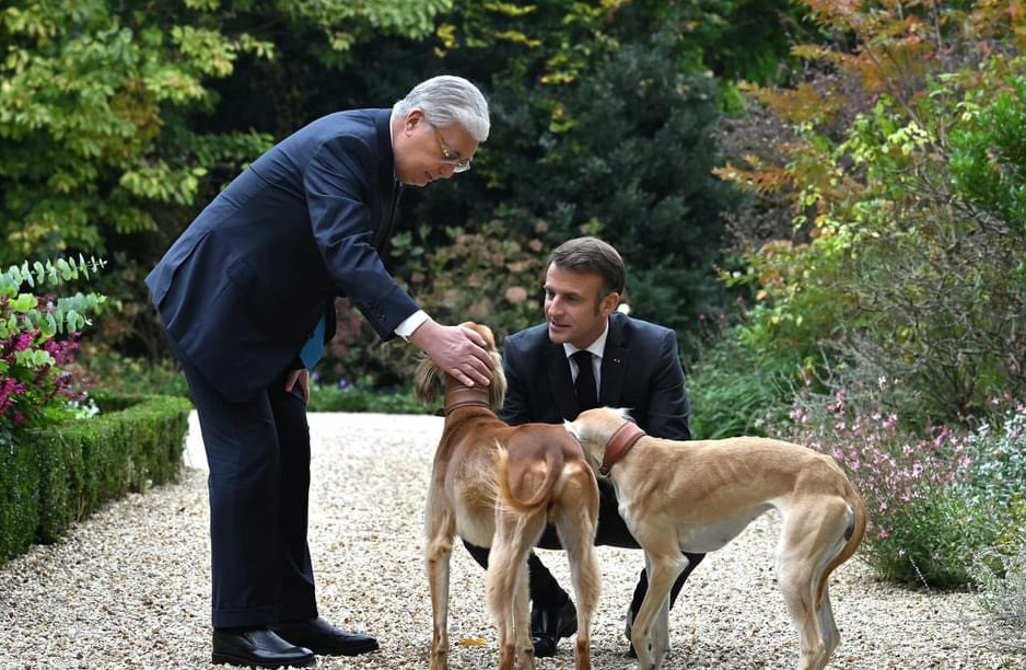 Toqaev pen Makron Eleseı saraıynyń baǵynda serýen qurdy