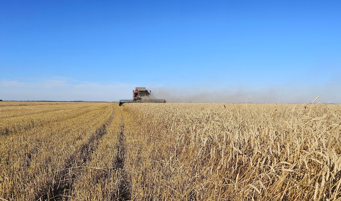 6 mln tonna astyq bastyryldy biraq bıdaıǵa suranys tómen