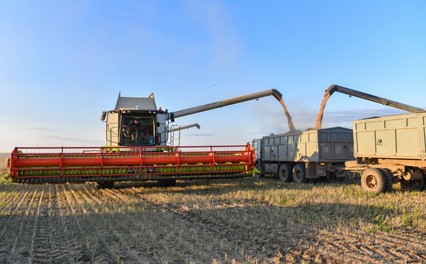 Astyq eksporty artqan