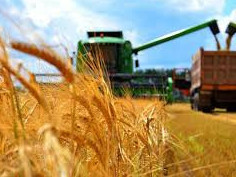 Senatta agro shıkizatty qaıta óńdeý máselesi talqylandy