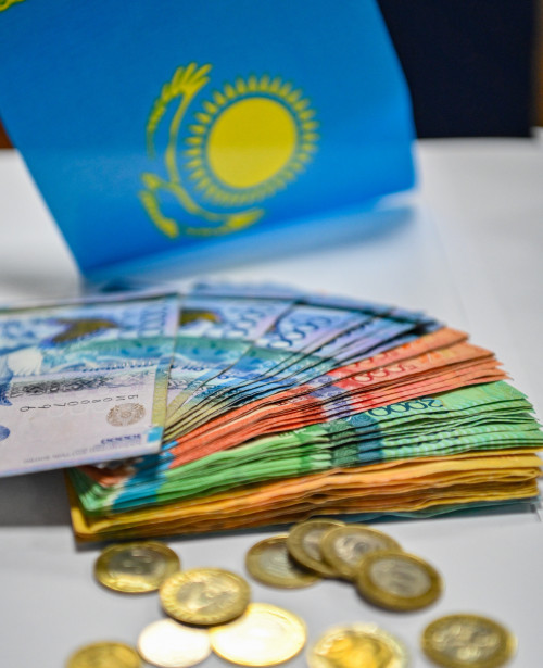 Memlekettik qaryzdyń baqylaýyn qamtamasyz etetin júıe qajet - depýtat