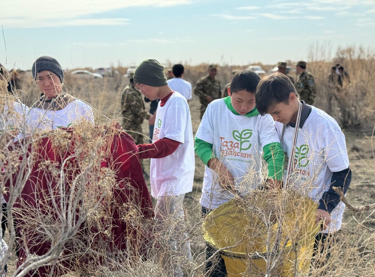 Eriktiler sekseýil tuqymyn jınady