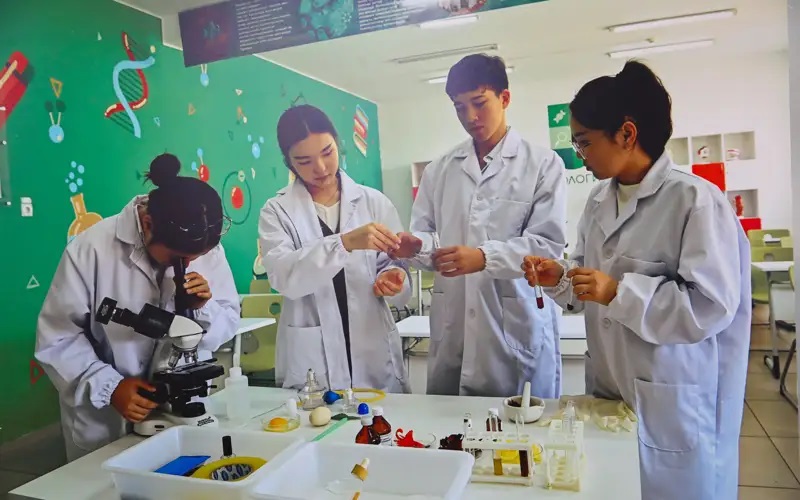 Qalanyń mektebinen qalyspaıdy