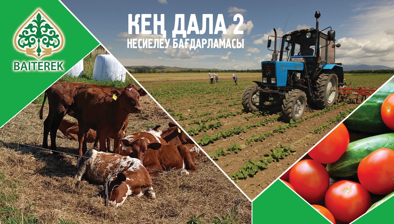 «Keń dala 2» baǵdarlamasyna ótinim qabyldaý jalǵasyp jatyr