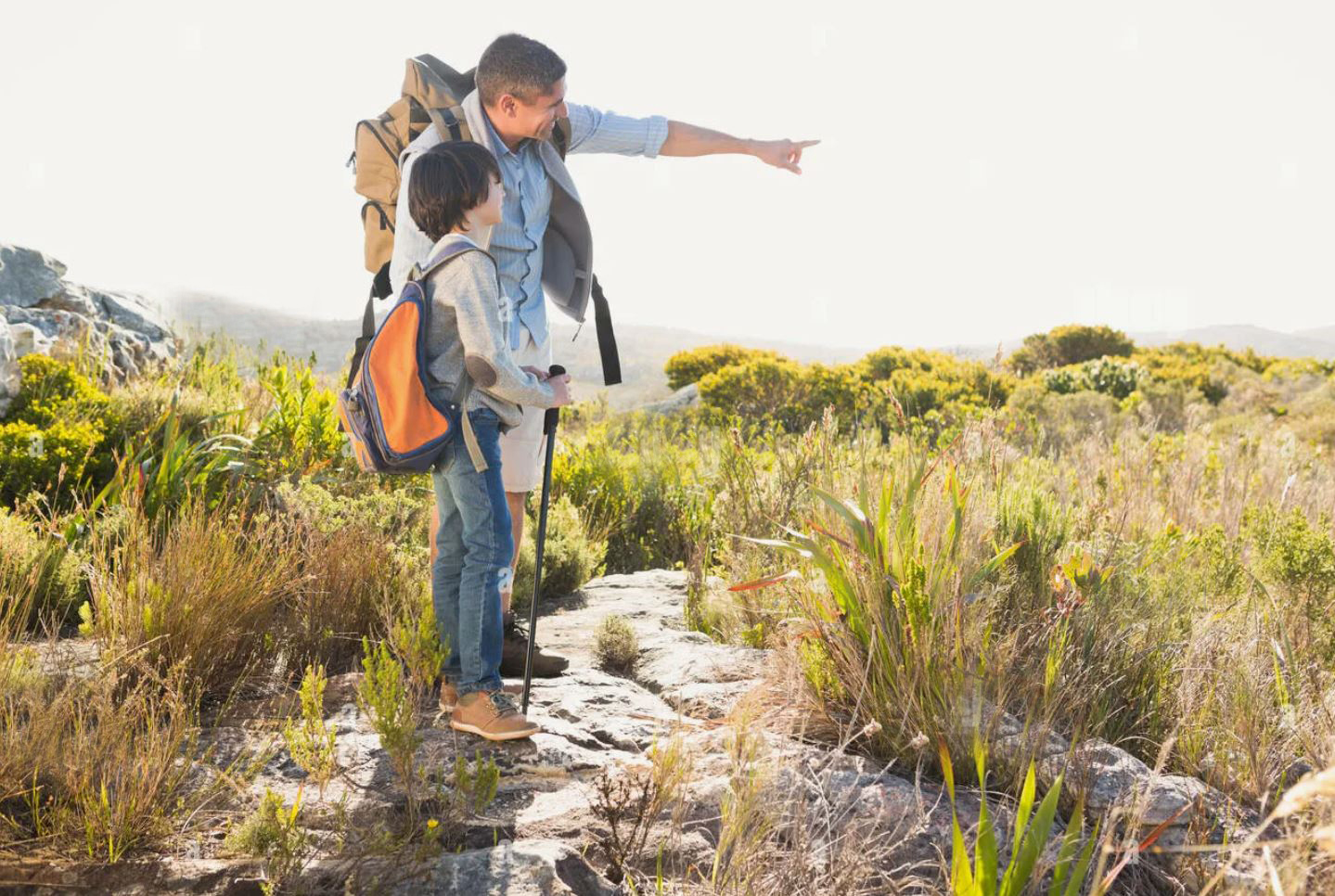 Tárbıe – talbesikten