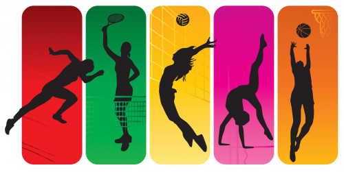 Sport federasııalarynyń basqarý júıesi ortalyqtandyrylady