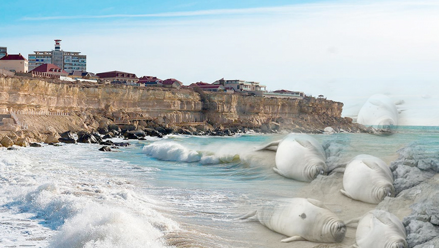 Itbalyq neden qyryldy