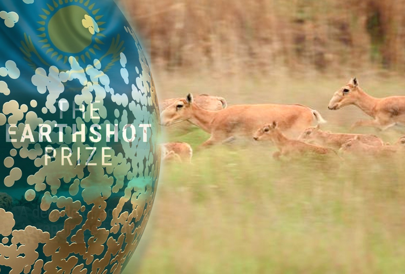 Tabıǵat janashyrlary tabysqa jetti