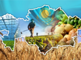 Qazaqstanda agroónerkásip kesheni qalaı damyp jatyr