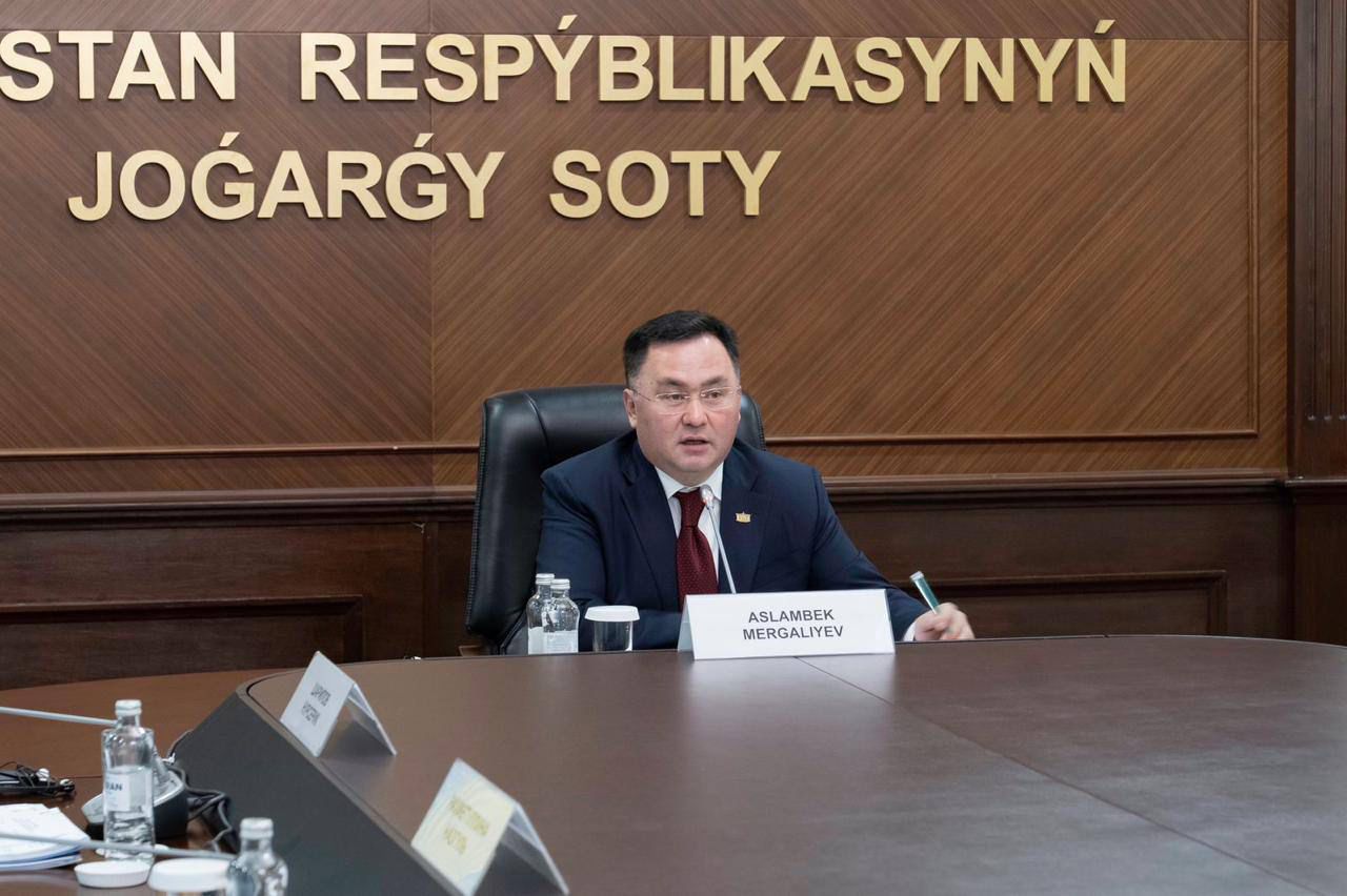 QR Joǵarǵy Sot Tóraǵasy TMD Ekonomıkalyq Soty plenýmynyń jumysyna qatysty