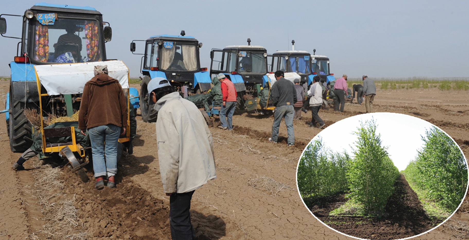 Orman alqaptary ulǵaıa tústi