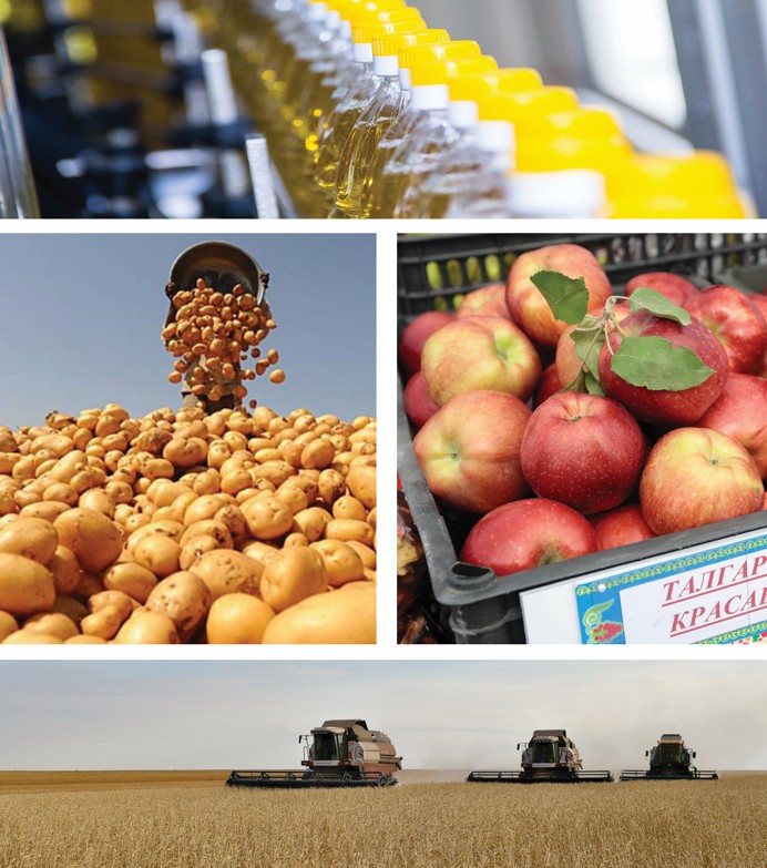 Qaıta óńdeýdiń ósimi