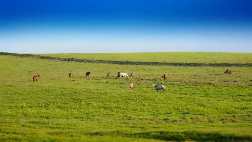 Bıyl 2 mln gektardan astam jer memleketke qaıtaryldy