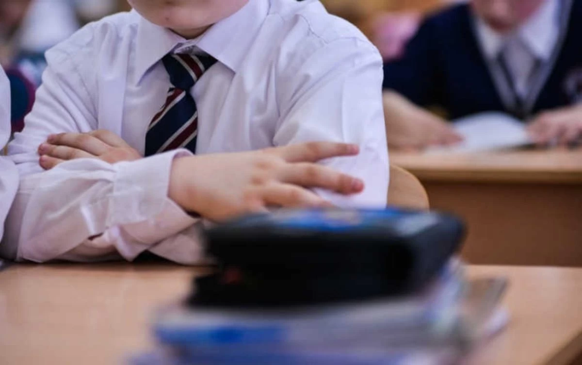 Mektep baǵdarlamasyna jańa pán engizilýi múmkin