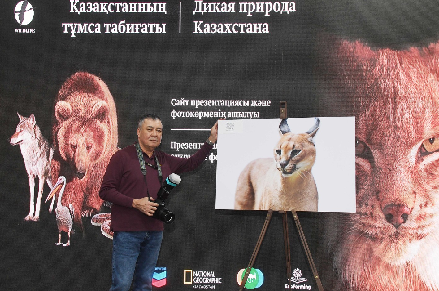 Foto nysanda – tumsa tabıǵat