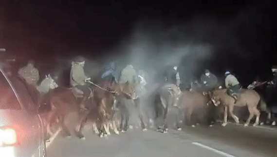 Almaty-Qorǵas tas jolynda kókpar uıymdastyrǵandar jaýapqa tartyldy