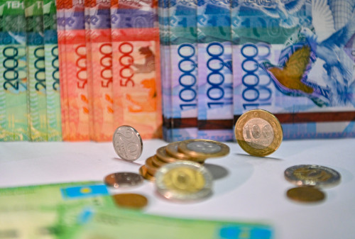 Ulttyq qordan qosymsha qarajat bólinedi