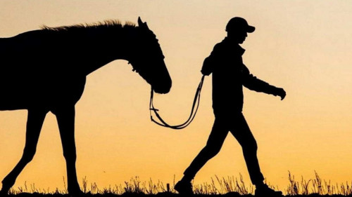 Túrkistanda  urlanǵan mal ıelerine qaıtaryldy