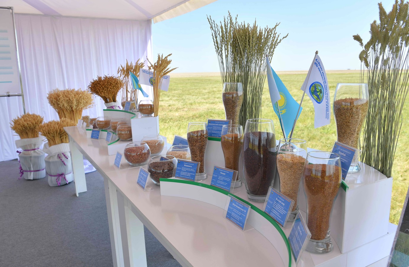 Daqyl ónimdiligin arttyratyn tásil