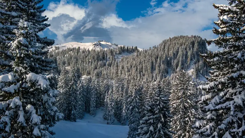 Kanadada joǵalǵan týrıst aman tabyldy