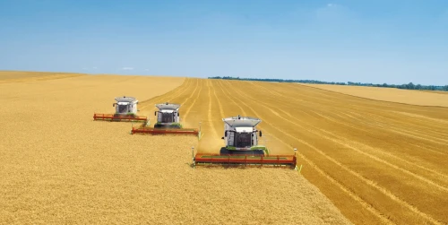 Aqmola oblysy elimizdiń bas astyqty óńiri mártebesin dáleldedi