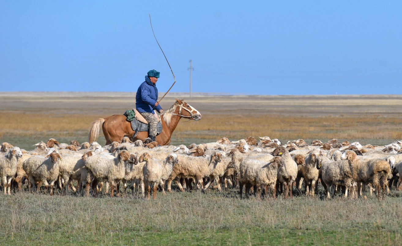 Jyqań. Katıa jeńge. Kókdónen
