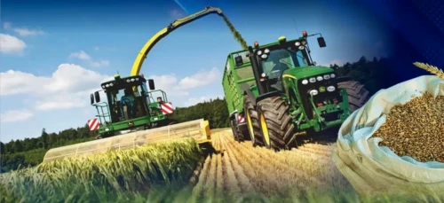 Elimizde dándi daqyl jınaýdan rekordtyq kórsetkish ornady – Úkimet