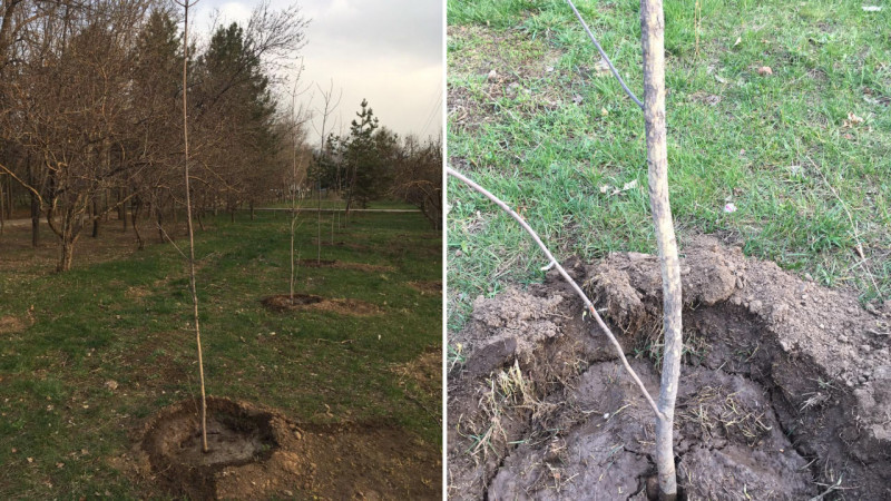 Kókteı solǵan kóshetter...