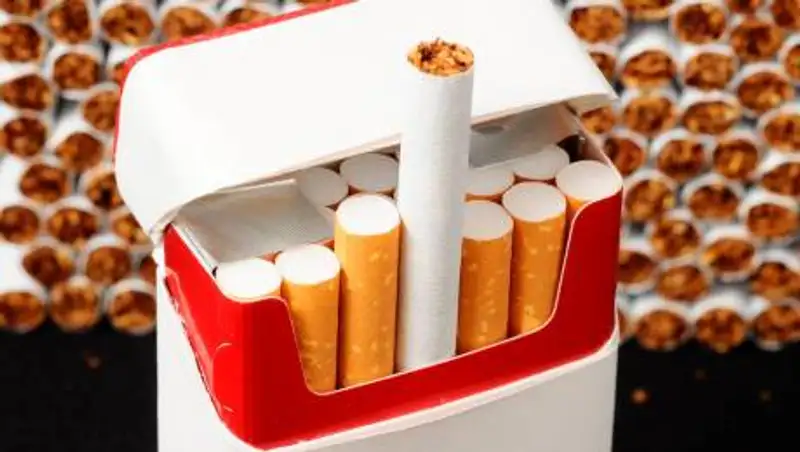 Temeki kontrabandasynyń jolyn qalaı kesýge bolady?