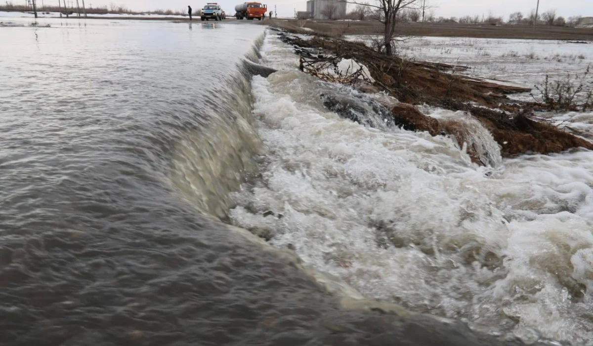 Saqtyq sharasy kúsheıtiledi