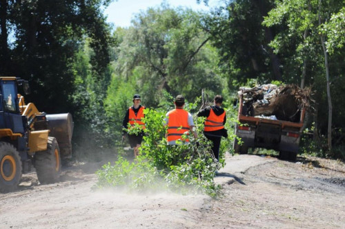 «Taza Qazaqstan»: 1,1 mln tonnadan astam qoqys shyǵaryldy