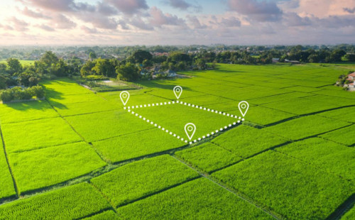 Jerdi paıdalaný konkýrsy kezinde zańsyzdyqtar anyqtalǵan