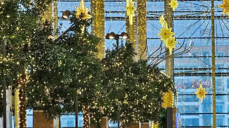 «Muǵalim jaraqat aldy»: Kináli kim?