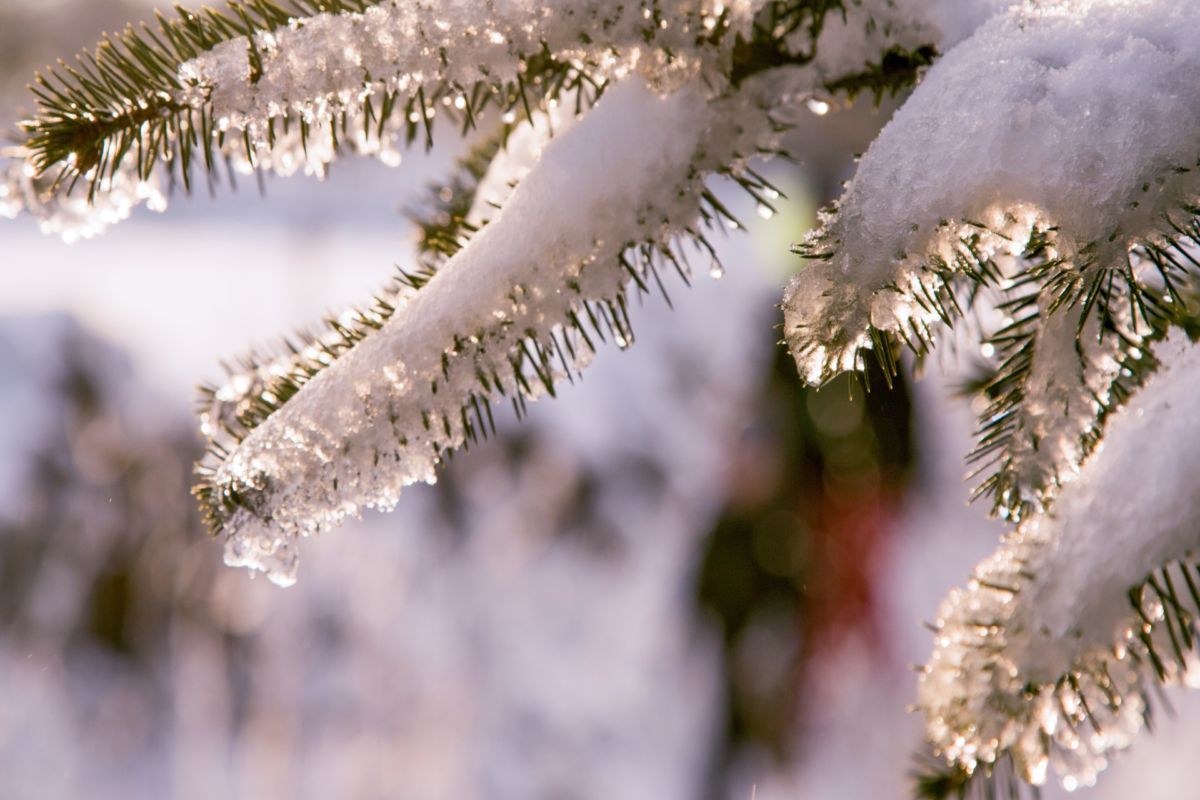 Elimizde kún jylynady