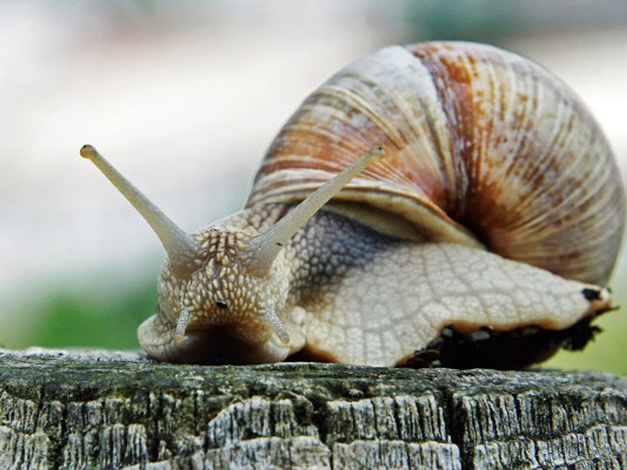 2024 jyl: Qazaqstanda halyq esinde qalar qandaı oqıǵalar boldy