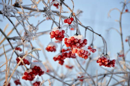 Jańa jyldyń alǵashqy kúni tuman túsedi