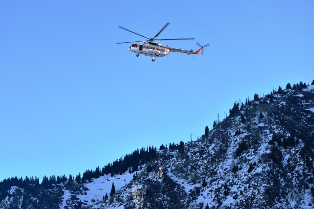 Elimizde kóshkin qaýpi bar 619 ýchaske belgilengen