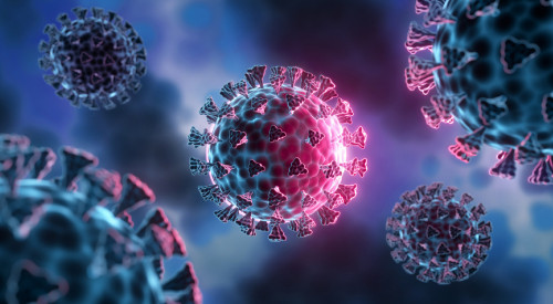 Qytaıda taraǵan vırýs Qazaqstanda anyqtaldy ma