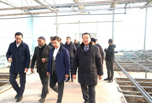 Depýtattar Túrkistan oblysyndaǵy kásiporyndardy aralady