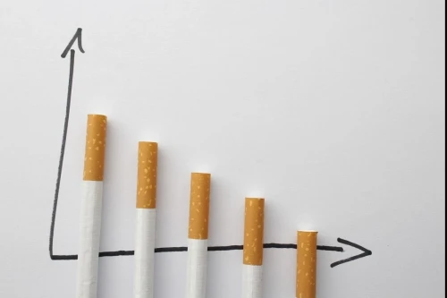 Atyraýda jyl basynan beri zańsyz aınalymnan 19 779 temeki alyndy