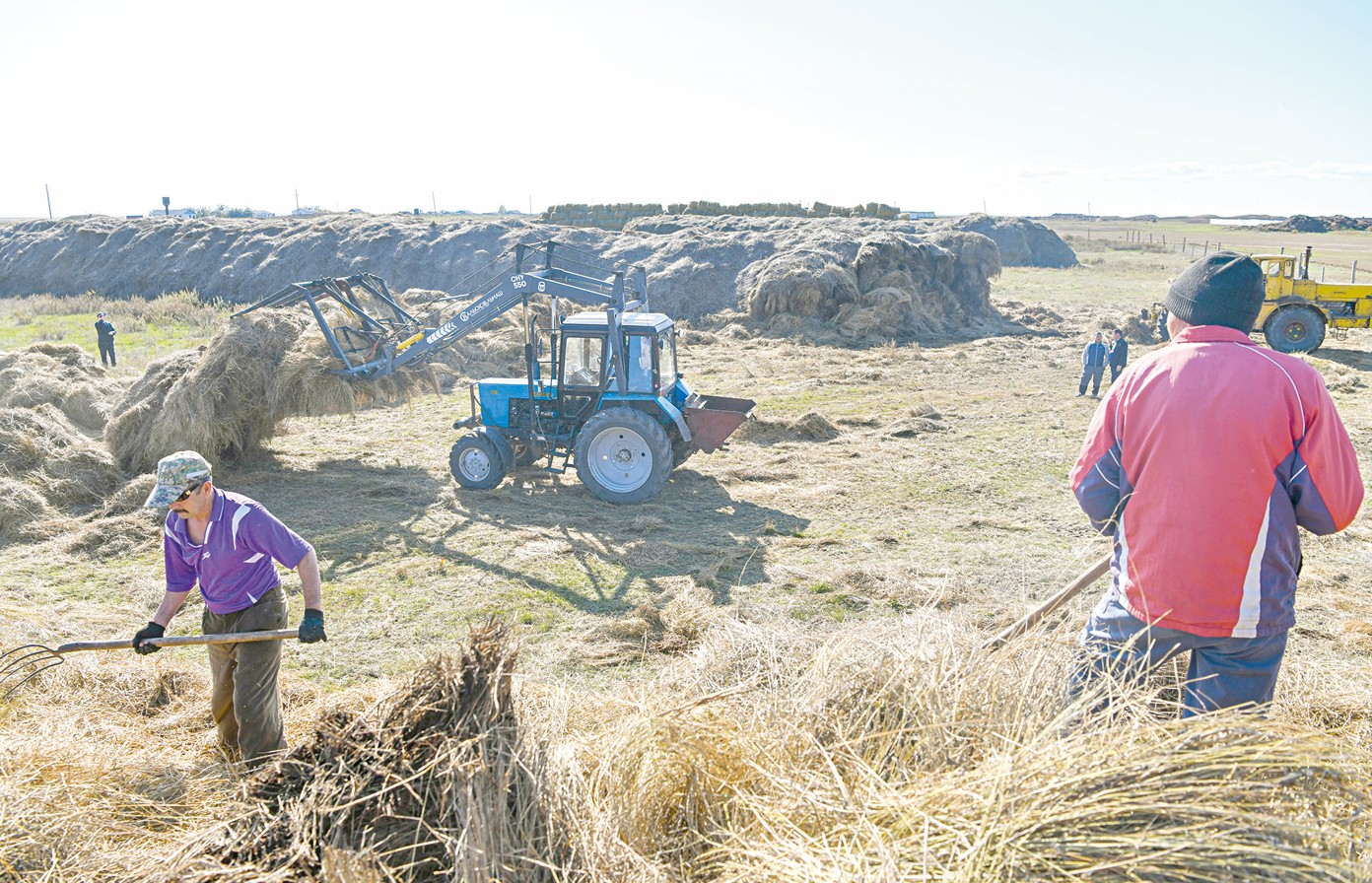Mıllıonnan astam mal qystaýǵa kirdi