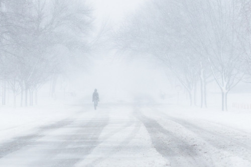 Qostanaı oqýshylary qashyqtan oqıtyn boldy