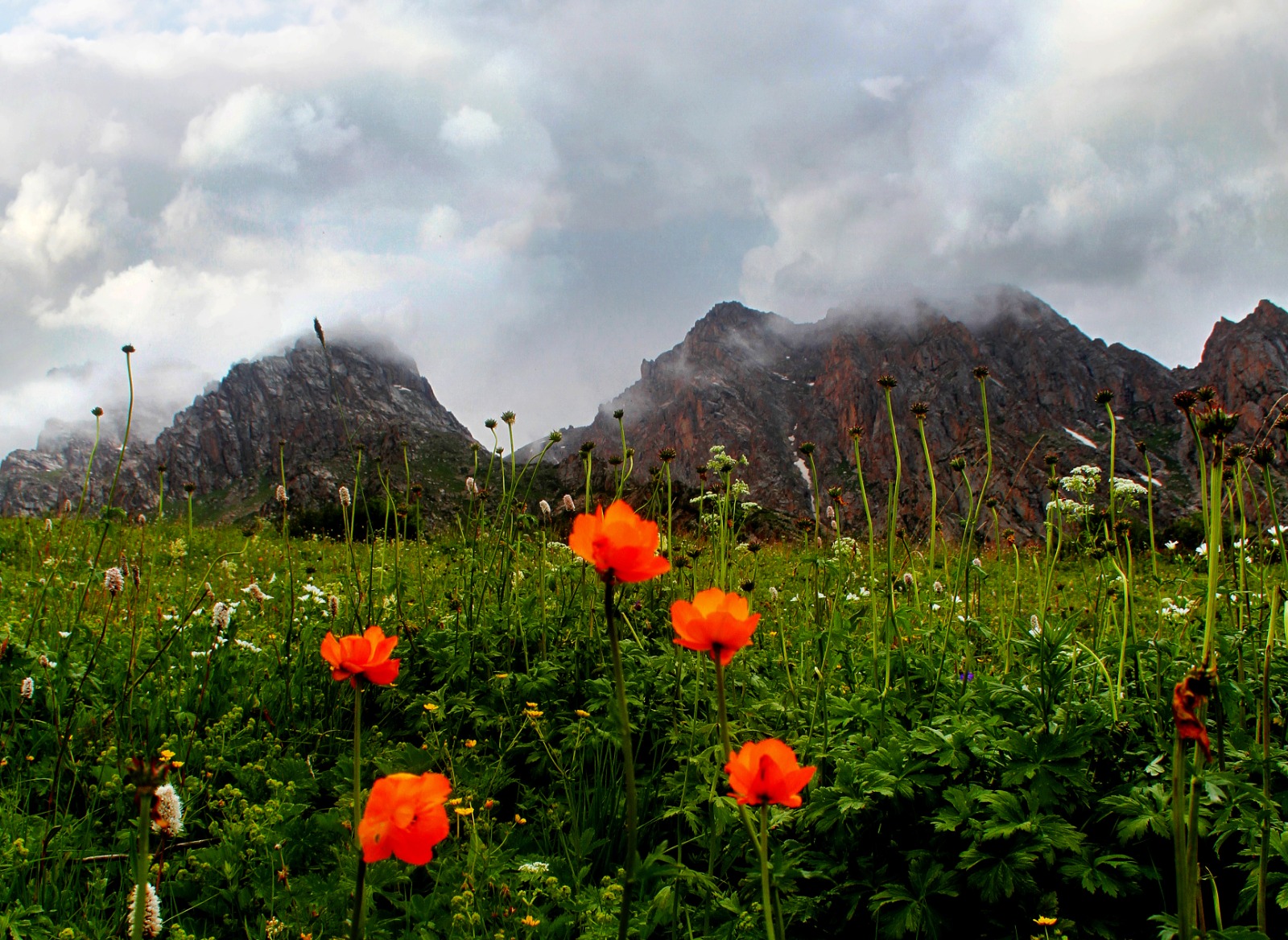 Tylsymǵa toly Shal taýy