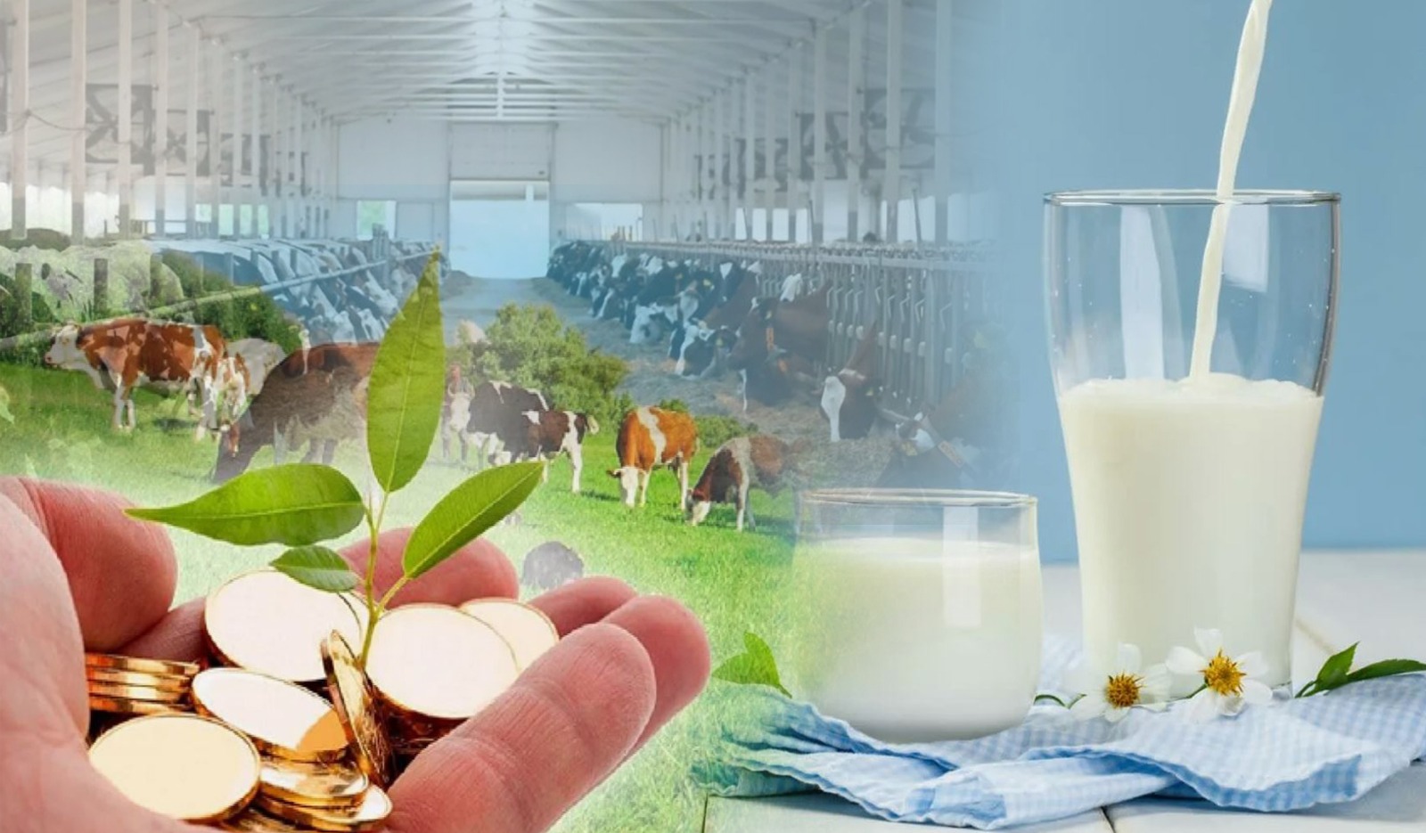 Yntalyǵa bereke bar