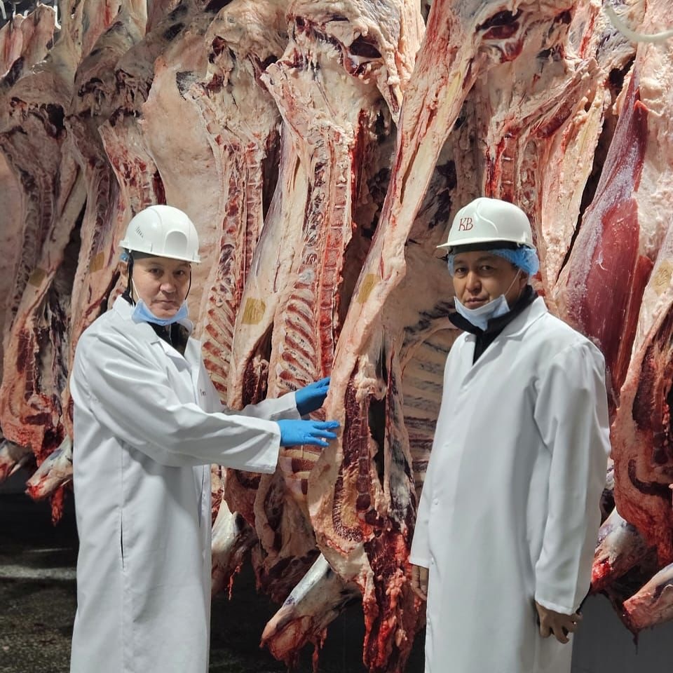 Tolyq sıkldi et kásiporny jumysymen tanysty